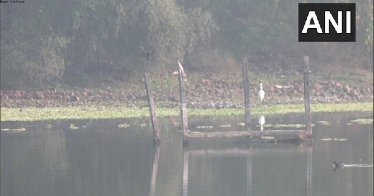 Nagpur: Annual Asian Waterbird Census underway, exotic birds spotted around Nagpur